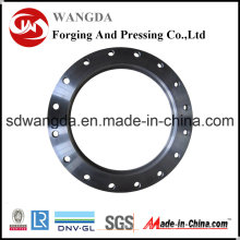 Steel Casting/Machining Pipe Flanges for Flanged Fittings